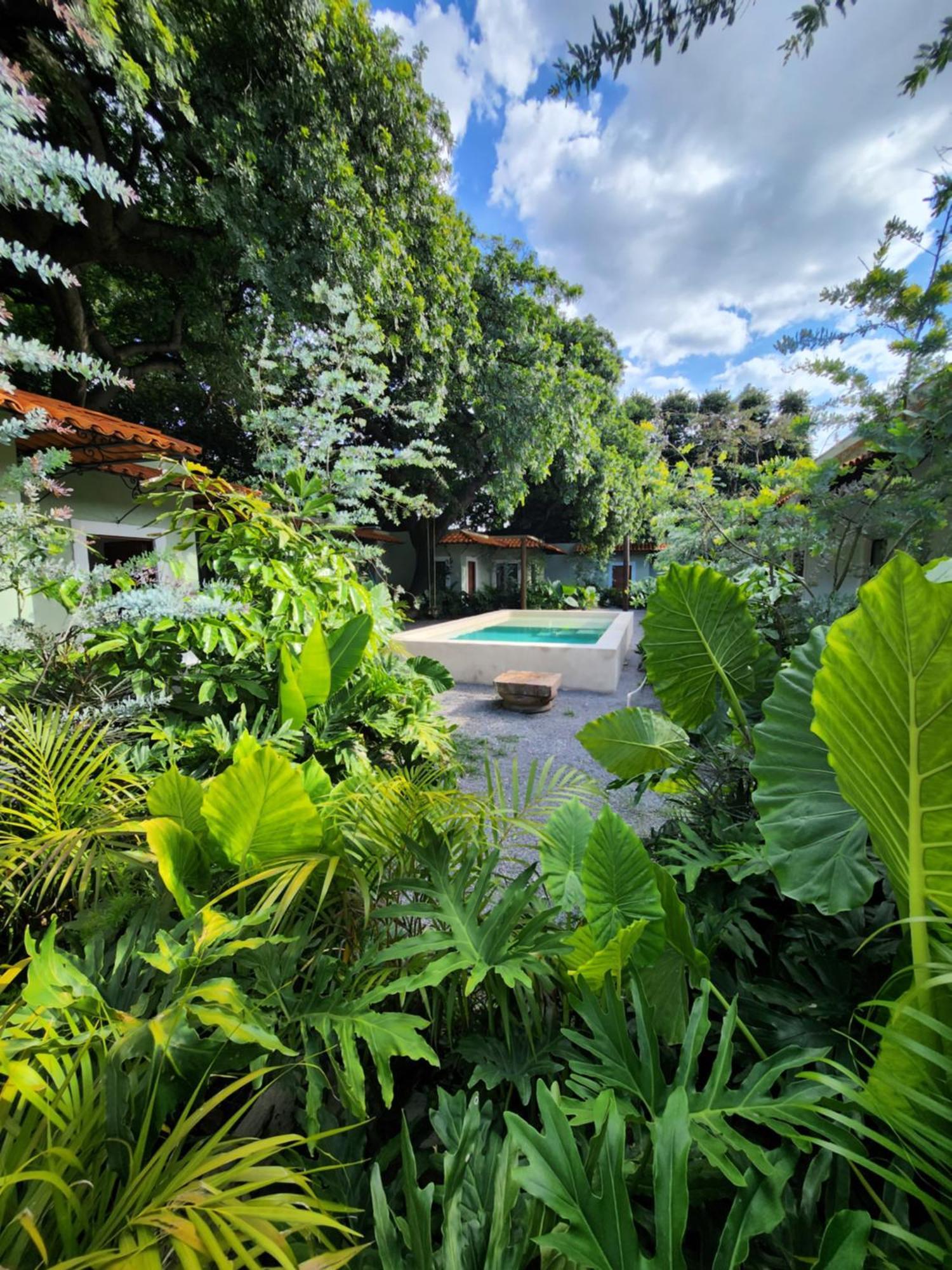 Hotel Boutique Villa Escondida, A Pasos De Lo Mejor En Tlaquepaque المظهر الخارجي الصورة