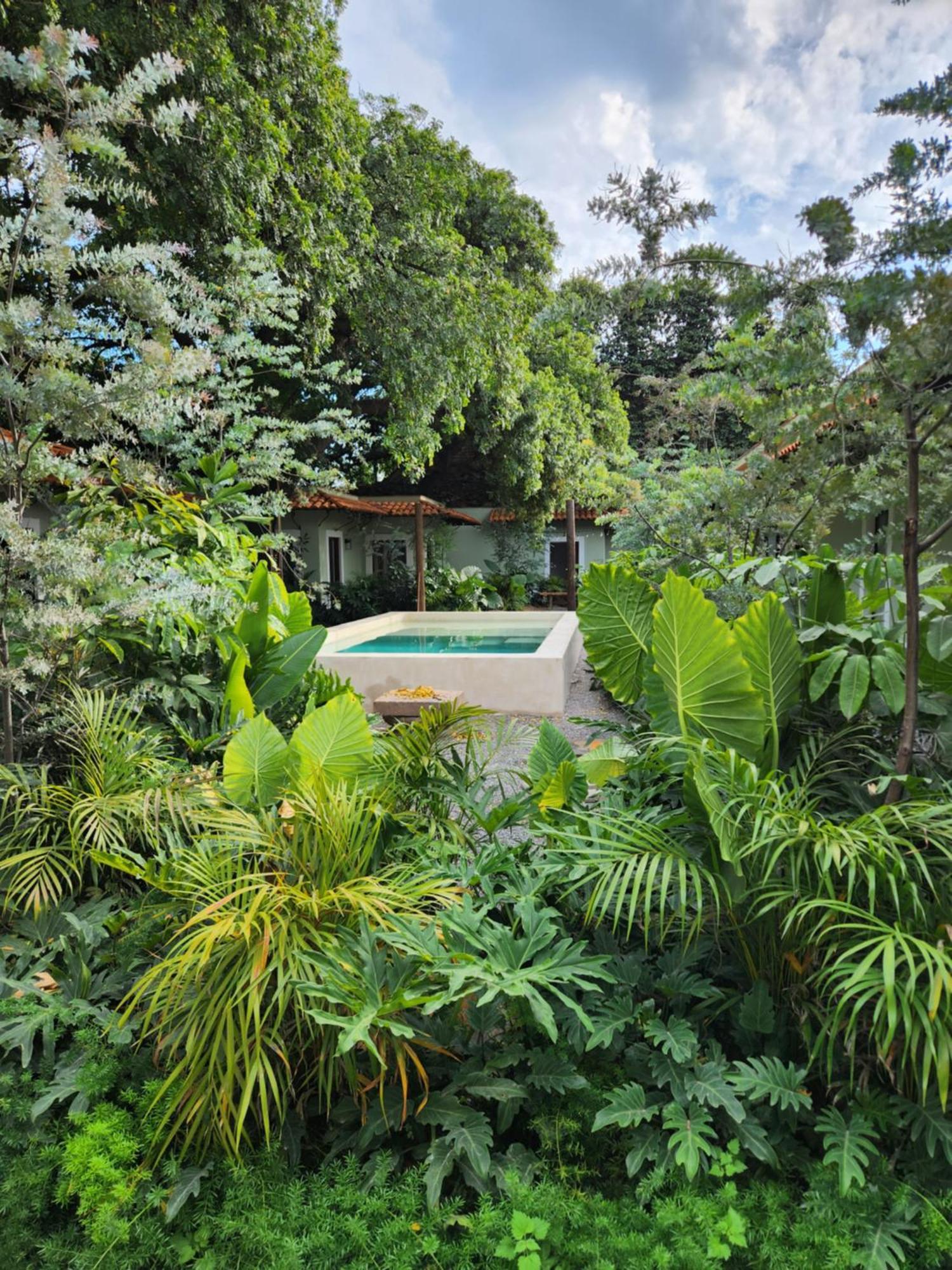 Hotel Boutique Villa Escondida, A Pasos De Lo Mejor En Tlaquepaque المظهر الخارجي الصورة